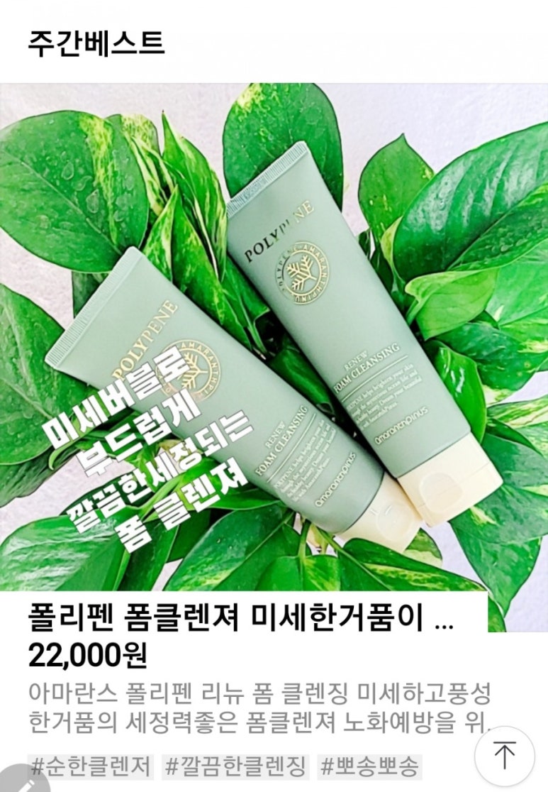 피누스스토어 일류 이미지