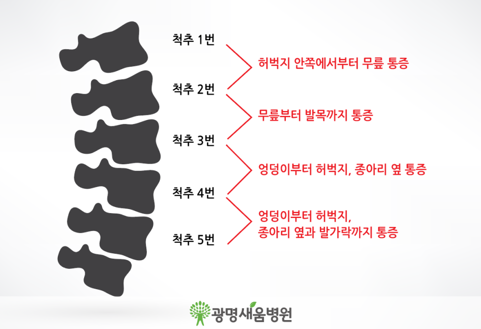 광명새움병원 이미지