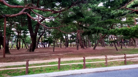 장자골민박 이미지