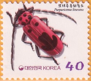 디자인주홍 이미지