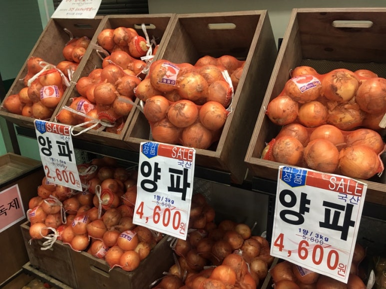 푸드진 이미지
