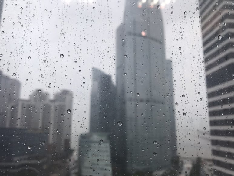 미술아놀자심리상담센터 이미지