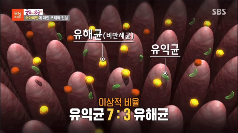 보람가정의학과의원 이미지
