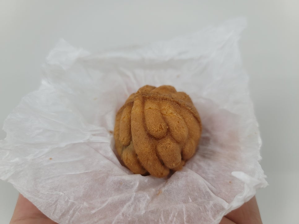 코코호도안산 이미지