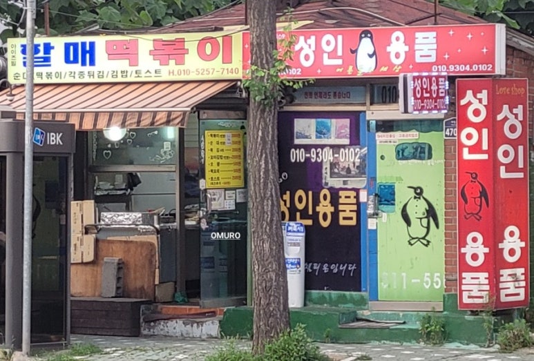 금돈관 이미지