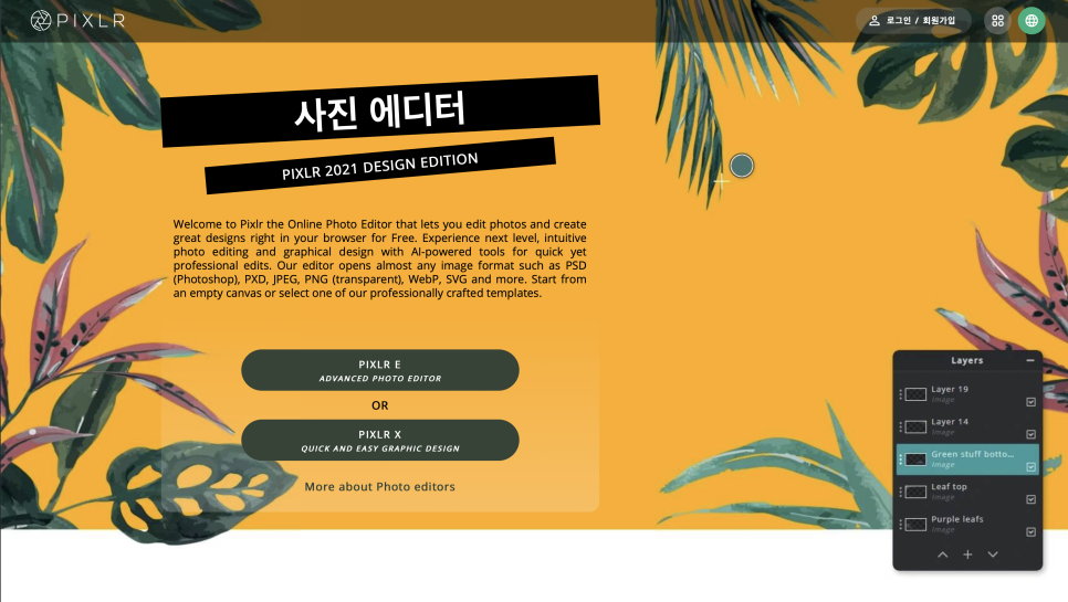 픽셀러 이미지