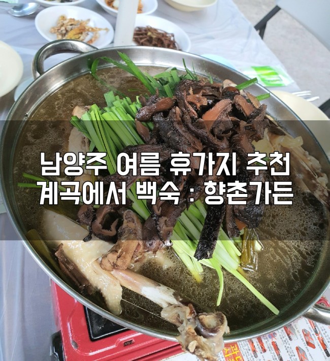 다인가든 이미지