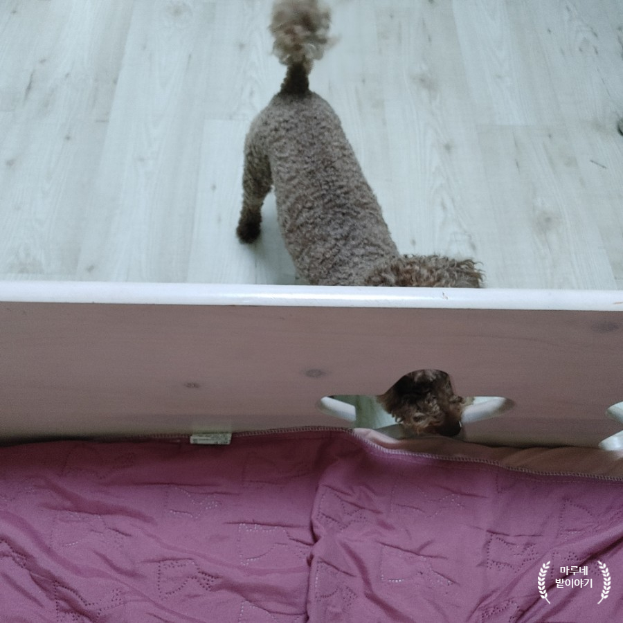 마루네일 이미지