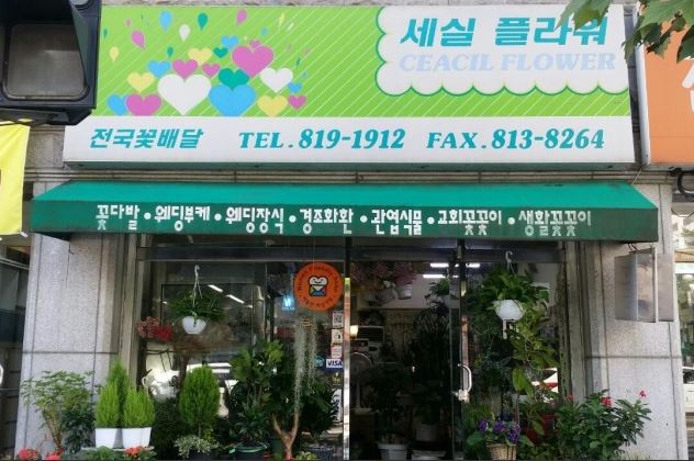 세실플라워 이미지
