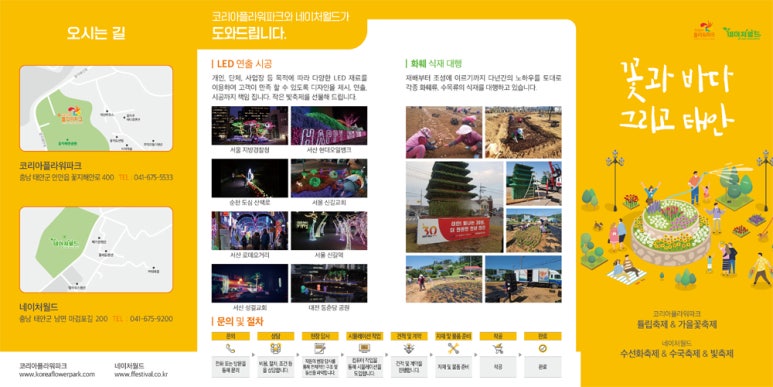 코리아플라워 이미지
