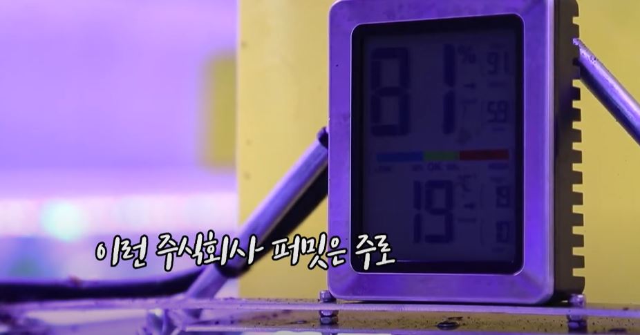 주식회사퍼밋 이미지