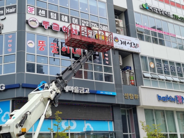 뚱굴이네 이미지