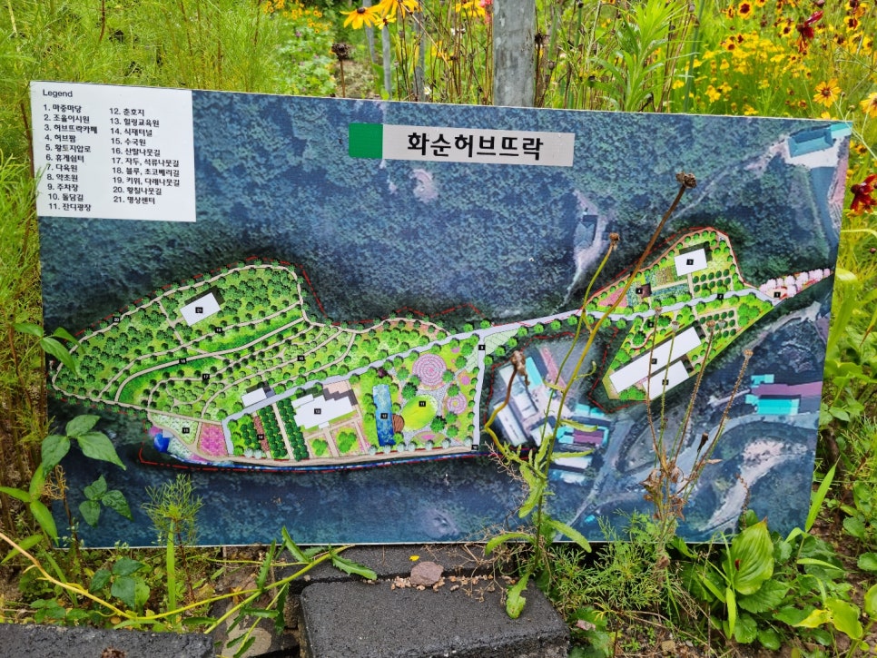화순허브뜨락 이미지