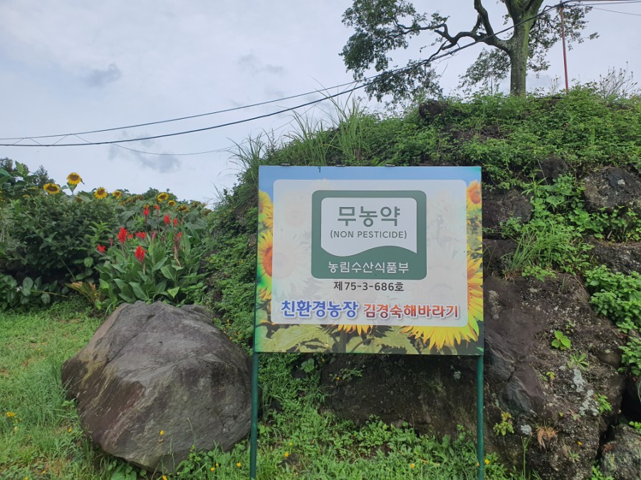 해바라기농산 이미지
