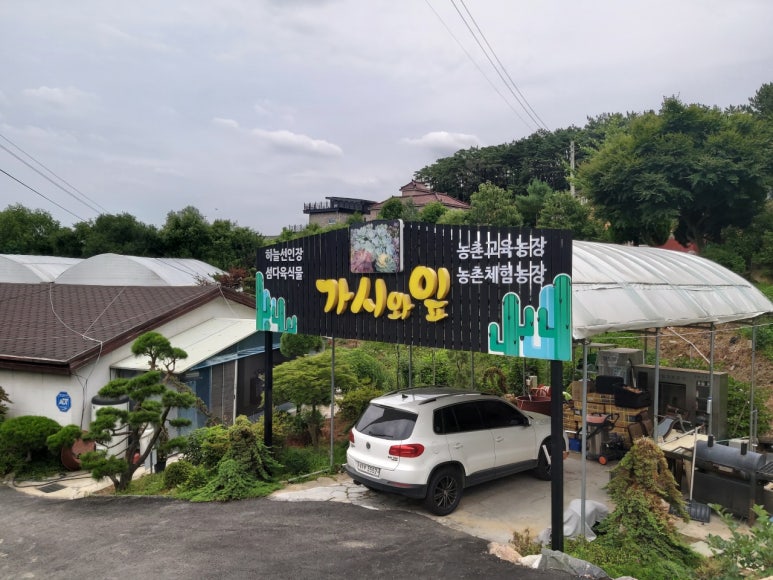 가시와다육이 이미지