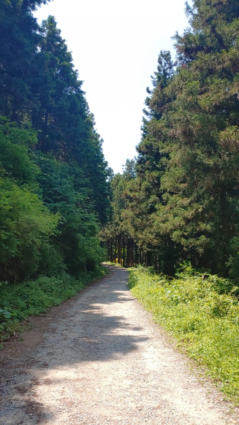 그루상조 이미지