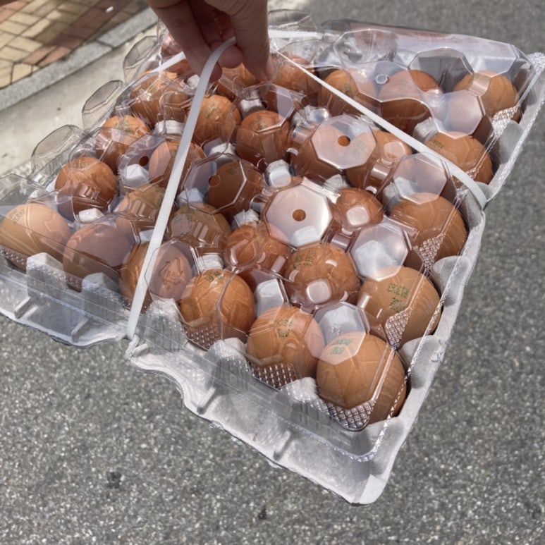 배떡 별내 이미지