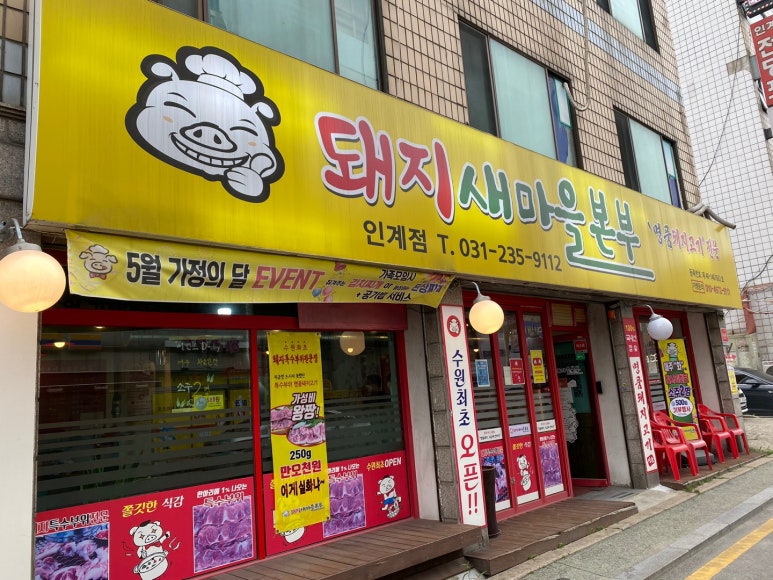 돼지새마을운동 이미지