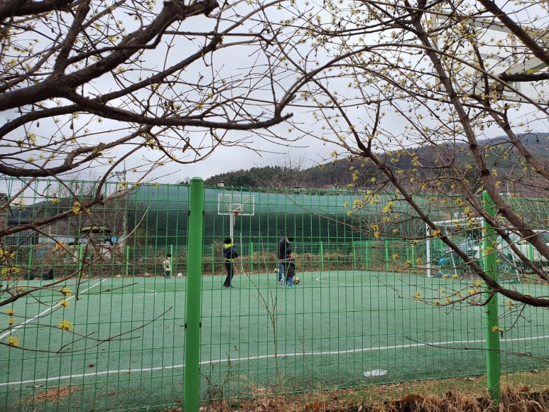 수동시온캠프 이미지