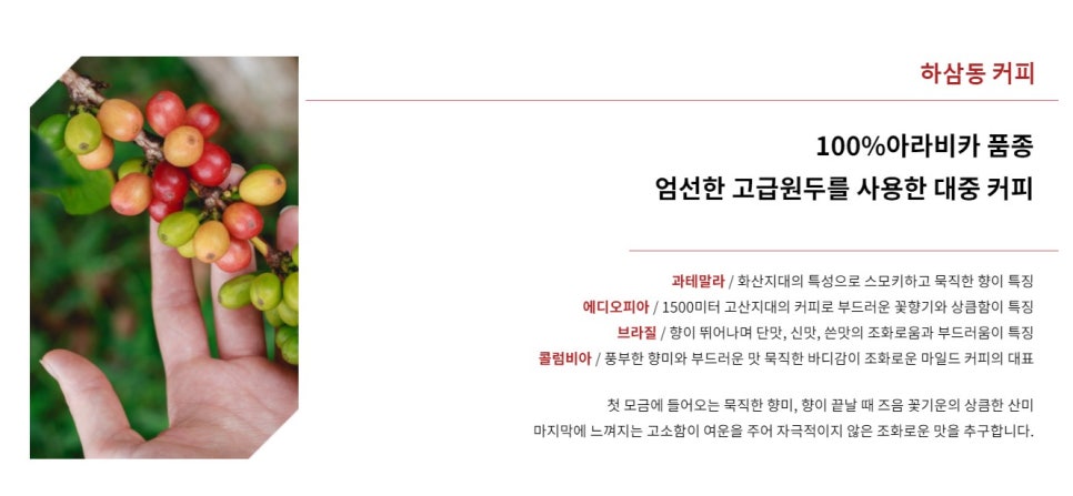 하삼동커피창원 이미지