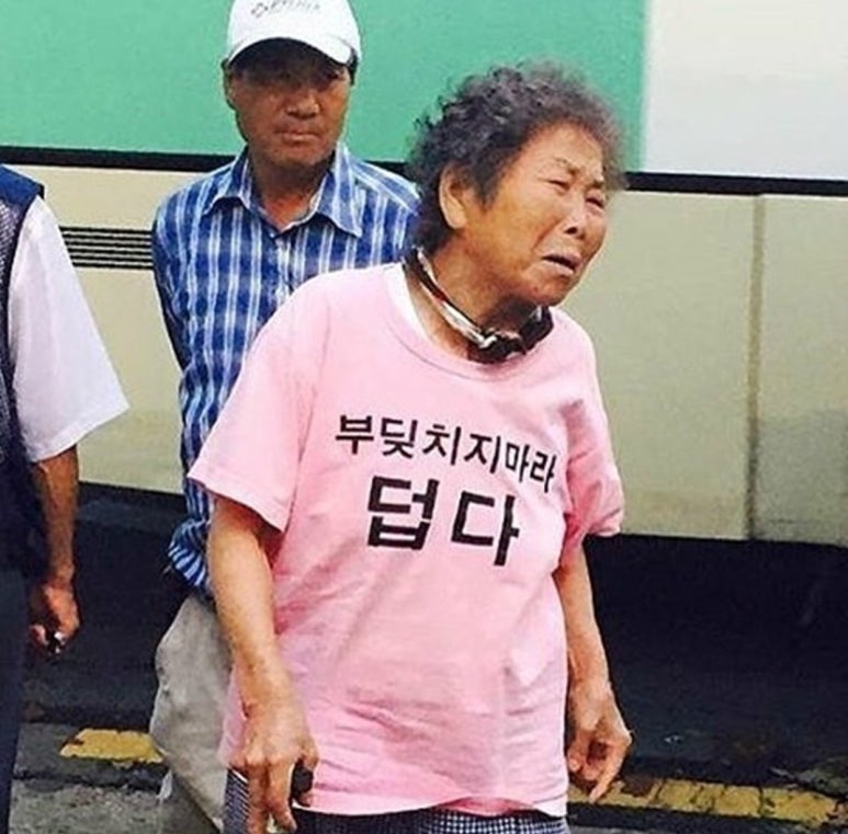 청춘칼국수 이미지