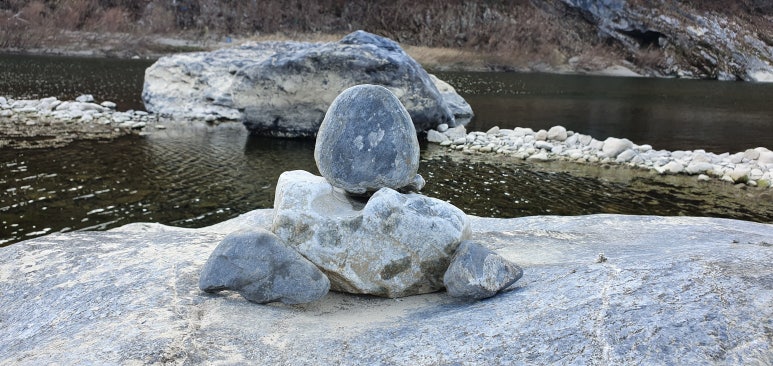 바우식육점 이미지