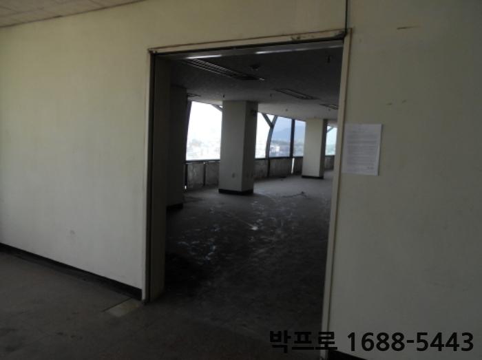 대덕스포츠 이미지