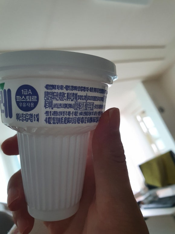 빵빠레투 이미지