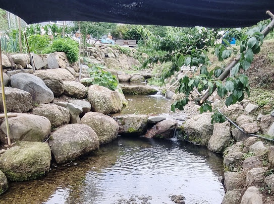 장자골민박 이미지