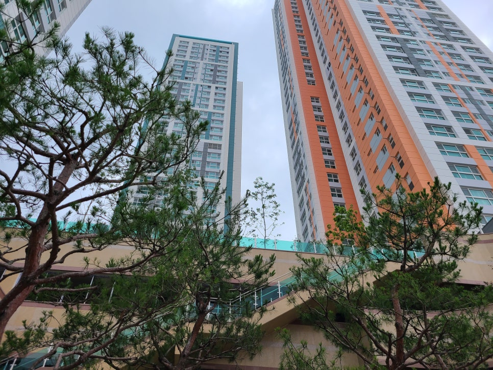 하삼동커피마산합포 이미지