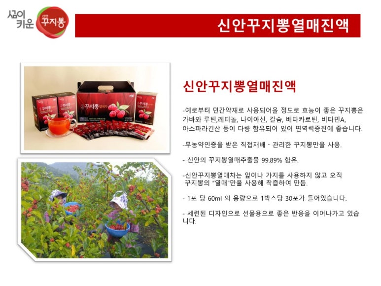 신안꾸지뽕 이미지