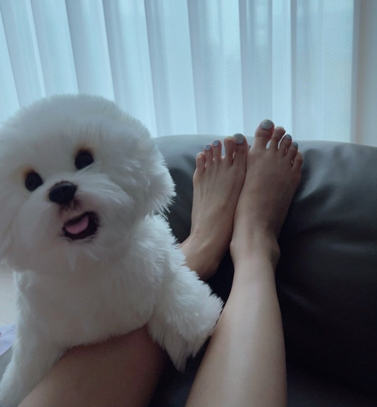 네코네일 이미지