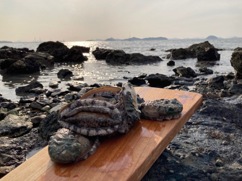 진도상회 이미지