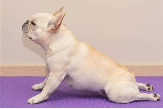 무카 이미지
