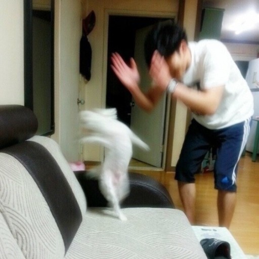 911연기학원 이미지