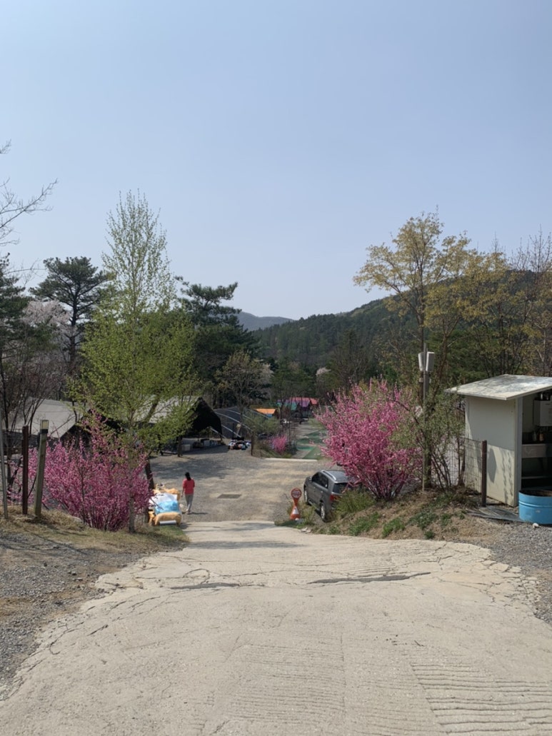 광릉숲이야기캠핑장 이미지