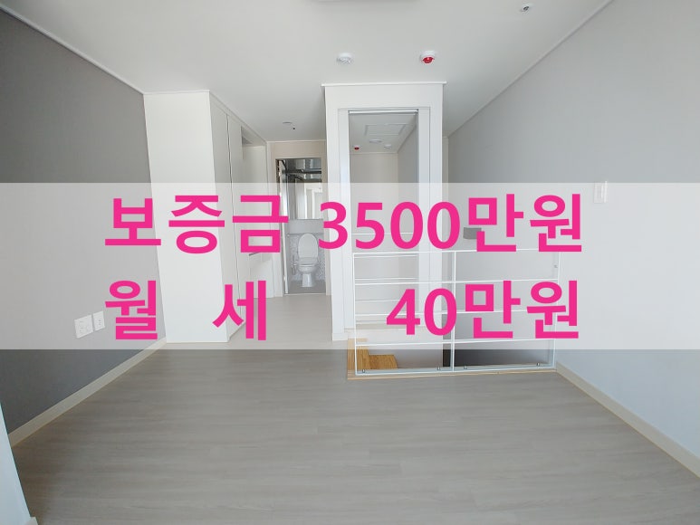 주식회사 라온베이 이미지