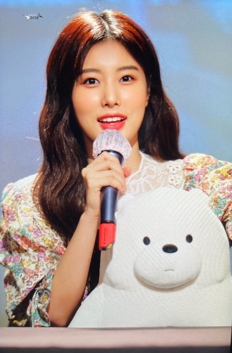 아이스베어 이미지