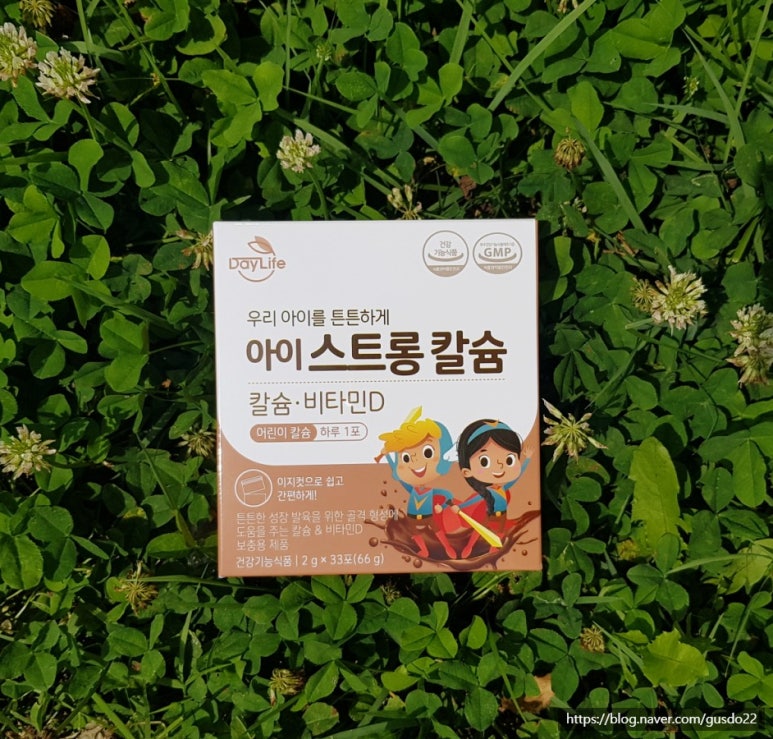 뉴데이라이프 이미지
