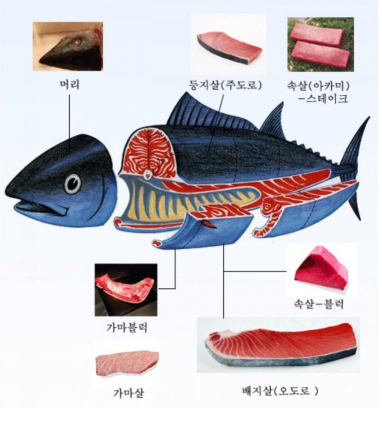 키움참치 이미지