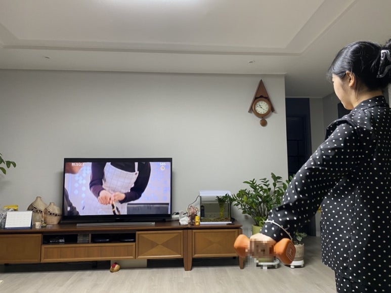 정미야식 이미지