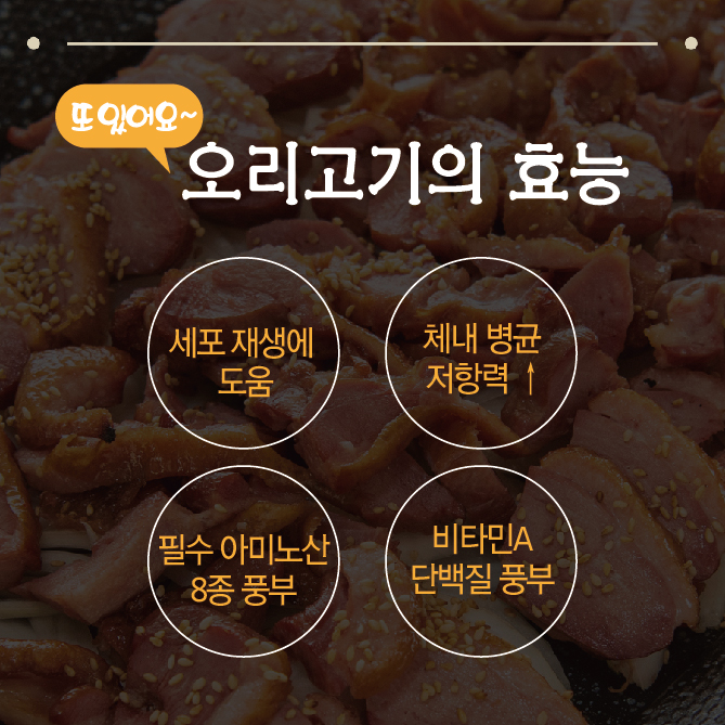 이로운고기 이미지