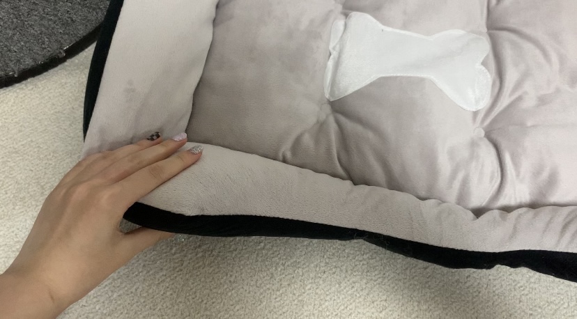 에스디엠 이미지