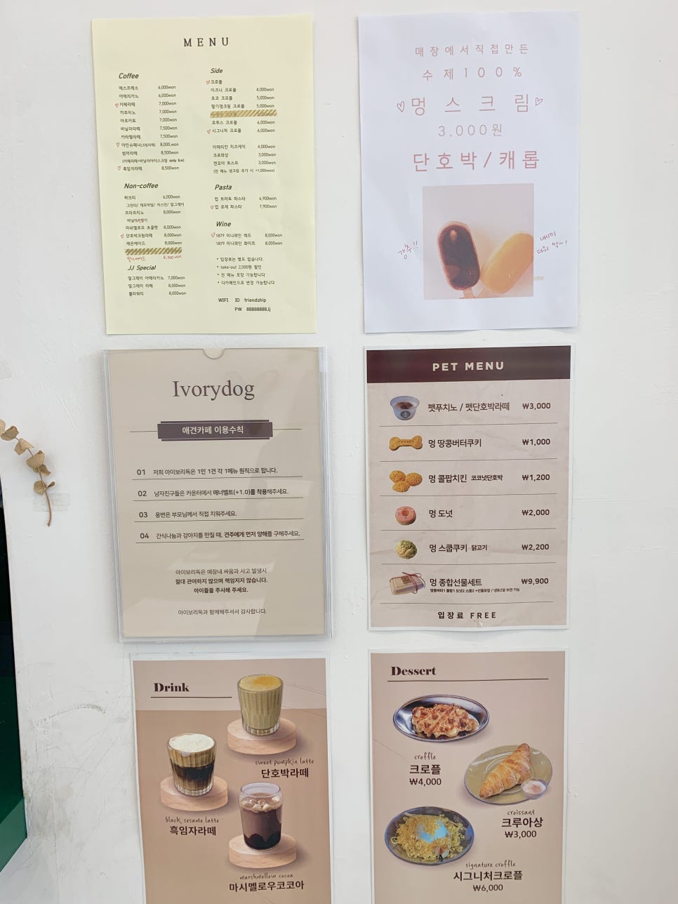 펫돌봄애견카페 이미지