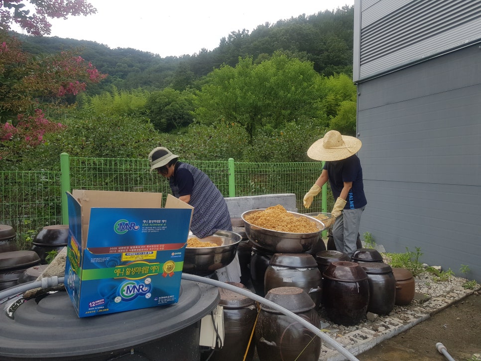 제이비에프(JBF) 이미지