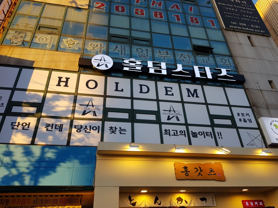 비홀덤 이미지