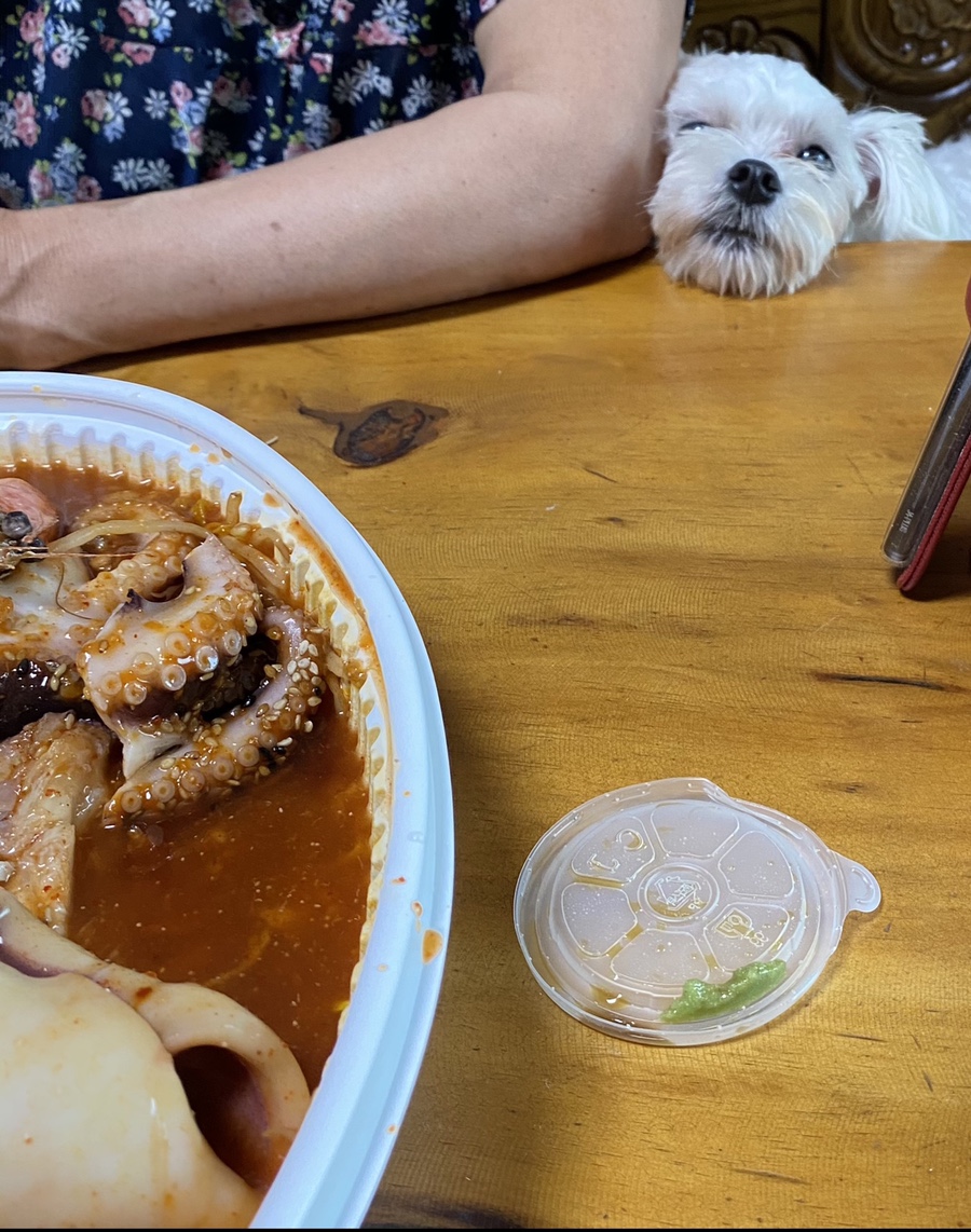 해물찜달인 이미지