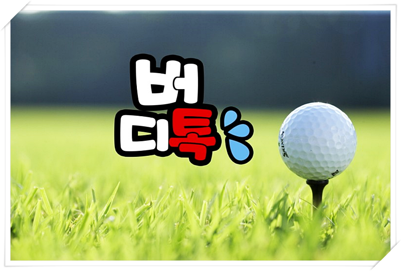 스튜디오버디 이미지