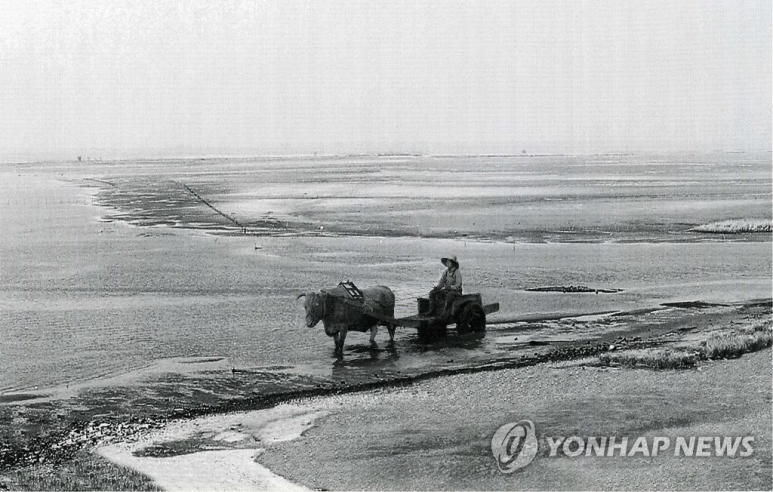 바하음악학원 이미지