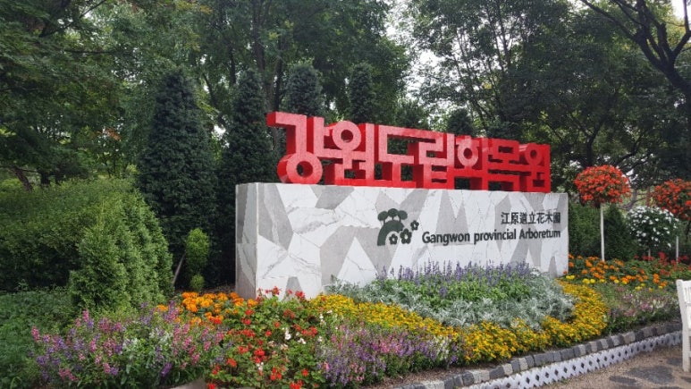 그린때때 이미지
